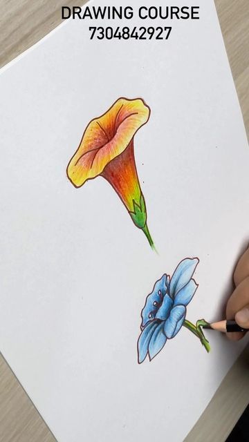 someone is drawing a flower with colored pencils